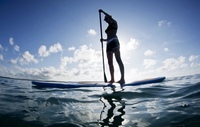 Paddel Board